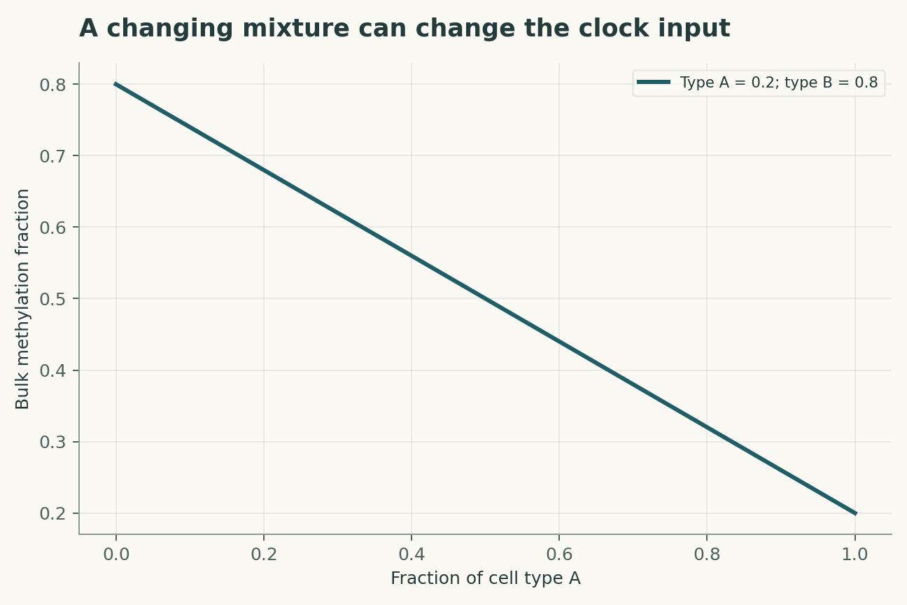 A changing mixture can change the clock input. Cell-type methylation is fixed at 0.2 and 0.8. A change in composition changes the bulk assay without any within-cell methylation change; no clock coefficients are applied.