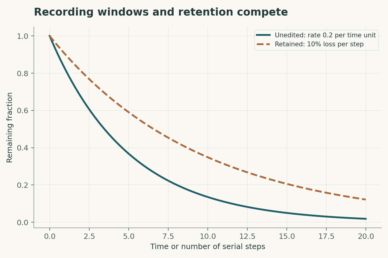 Recording windows and retention compete. The first curve treats time continuously; the second is a continuous interpolation of a discrete retention model. A common horizontal scale is illustrative and does not equate time units with biological divisions.