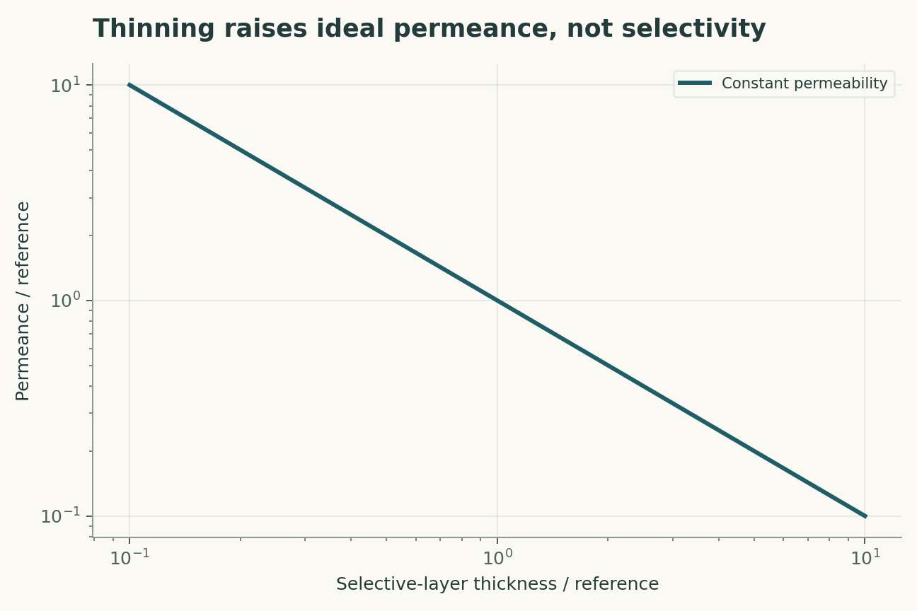 Thinning raises ideal permeance, not selectivity. With constant permeability and no support resistance or defects, permeance is inversely proportional to thickness. Mechanical stability and process recovery are outside the model.