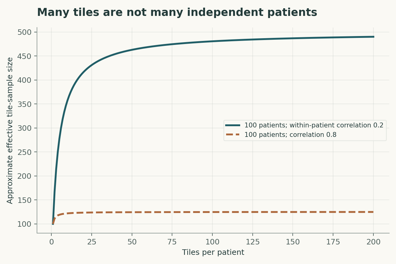 Many tiles are not many independent patients. The design-effect approximation assumes equal cluster sizes and exchangeable correlations. This effective size does not license splitting a patient's tiles between training and testing.