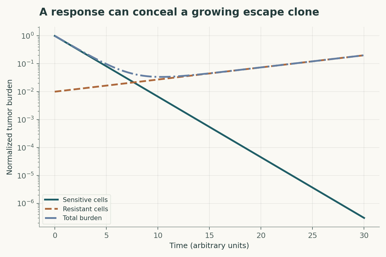 A response can conceal a growing escape clone. The sensitive population starts at 0.99 with net rate -0.5, and resistant cells at 0.01 with net rate +0.1. The model omits immune interactions, capacity limits and treatment changes.
