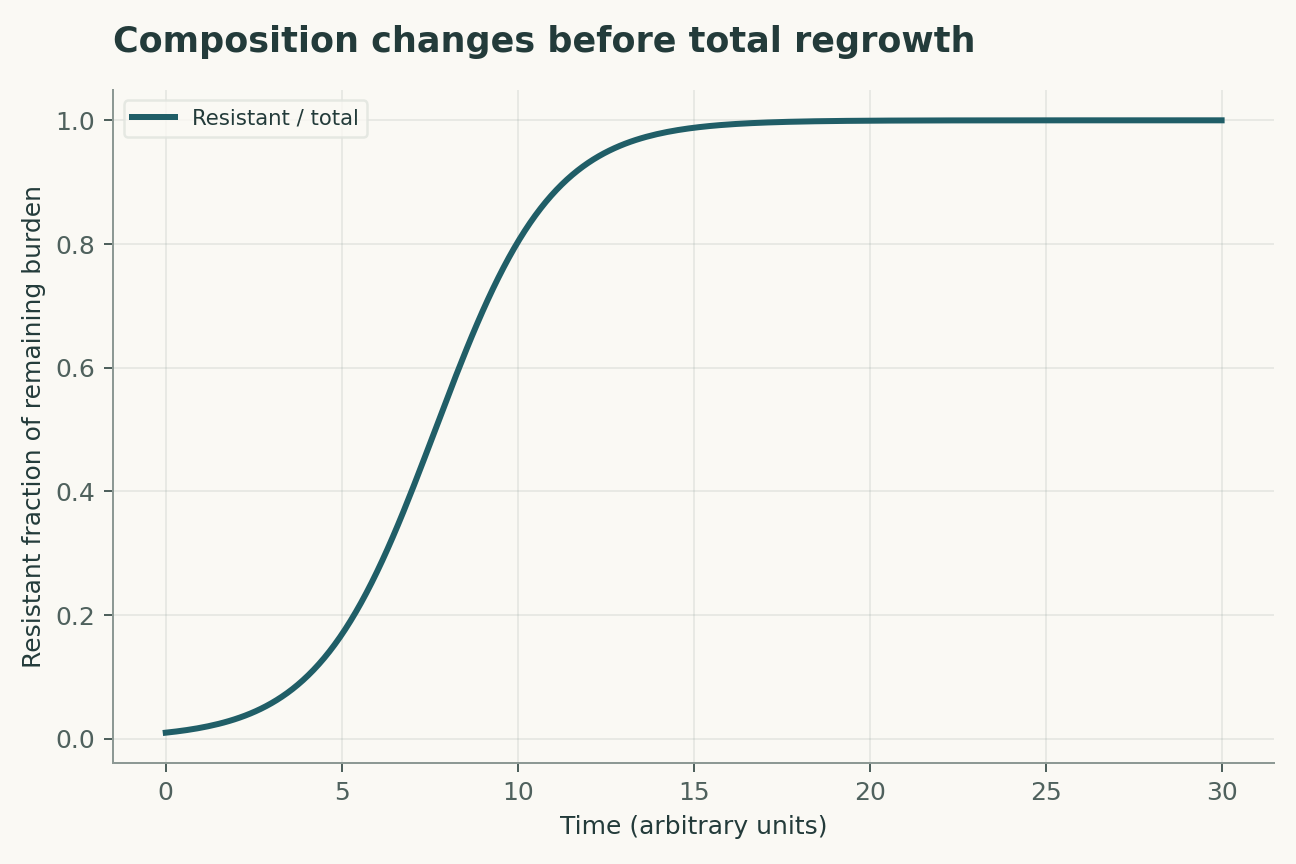 Composition changes before total regrowth. This fraction is derived from the same two-population model as Figure 1. It is not a response curve from a clinical trial.
