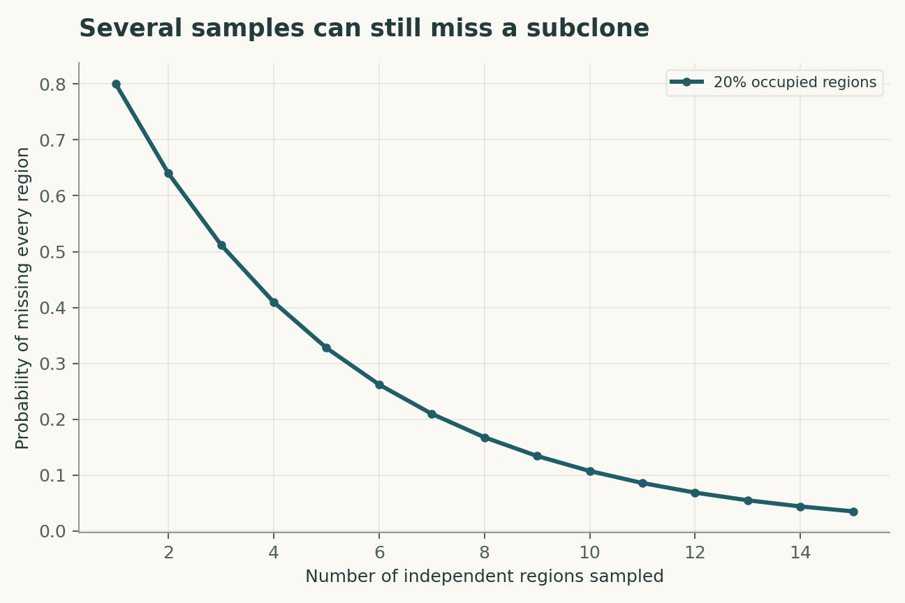 Several samples can still miss a subclone. Each sampled region independently contains the subclone with probability 0.2. Spatial dependence can make this simple miss-probability calculation optimistic.